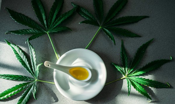 Guide complet : les résines de cbd les plus efficaces pour la douleur