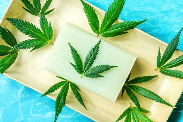 Que nous enseignent les recherches scientifiques sur le cannabidiol